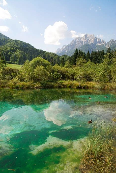 Slovenia, Zelenci | Lake swimming, Slovenia, Open water