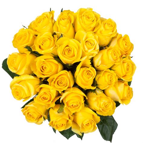 Yellow Premium Roses | Premium Wholesale Flowers | Free Shipping ...