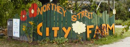 BrisStyle: Northey Street City Farm