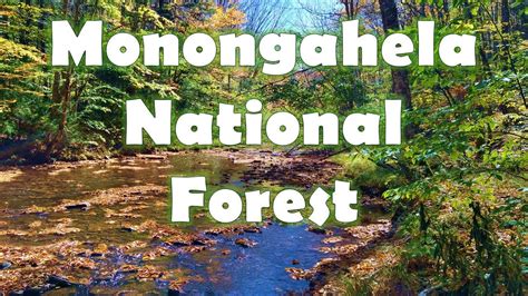 Monongahela National Forest Hiking - YouTube