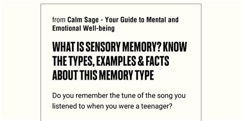 What Is Sensory Memory? Know The Types, Examples & Facts About This Memory Type - Briefly