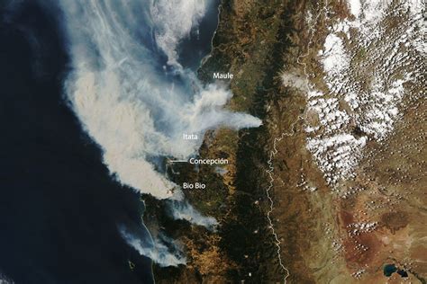 Incendios de viñedos en Chile 2023