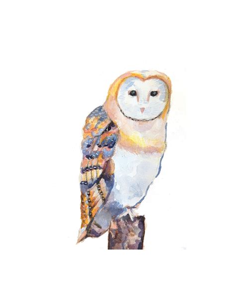 Owl watercolor colorful sweet little owl painting print of | Etsy