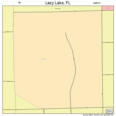 Lazy Lake Florida Street Map 1239750