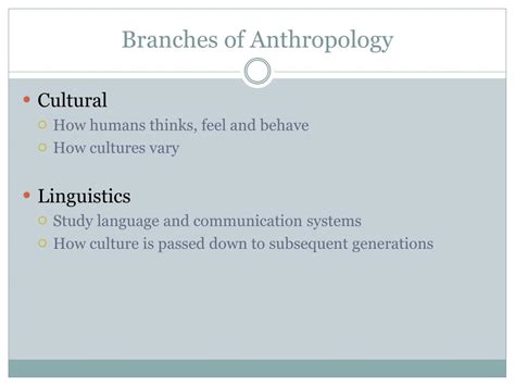 PPT - What is Anthropology? PowerPoint Presentation, free download - ID:6586008