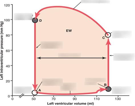 Pressure Volume Loop Diagram | Quizlet