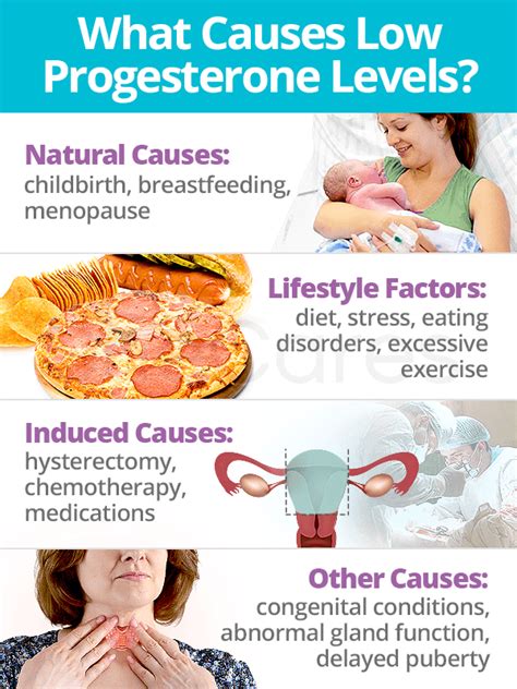 Low Progesterone Levels: About & Causes | SheCares