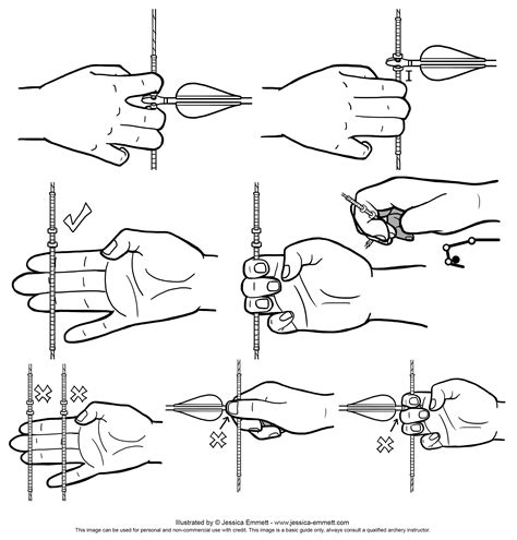 Archery Lessons, Archery Tips, Archery Bow, Archery Hunting, Bow ...