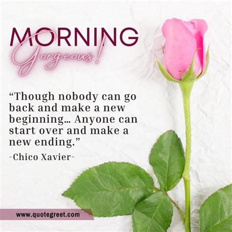 29 Beautiful Good Morning Pink Rose Flower Images |Quotes |Wishes |Messages - QuoteGreet