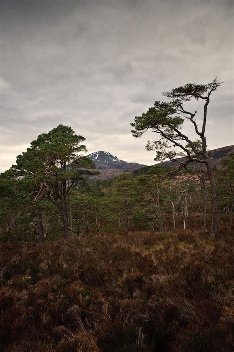 Glen Affric, Scotland by Kenneth Verburg - Photo 1155378 / 500px