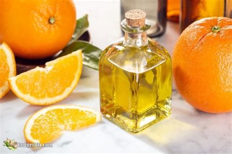 Orange Extract Recipe | How to Make Orange Extract