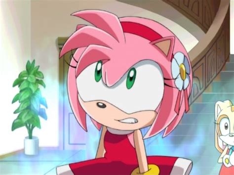 Amy Rose Sonic X Mad