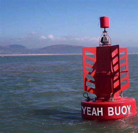 Yeah buoy! : funny