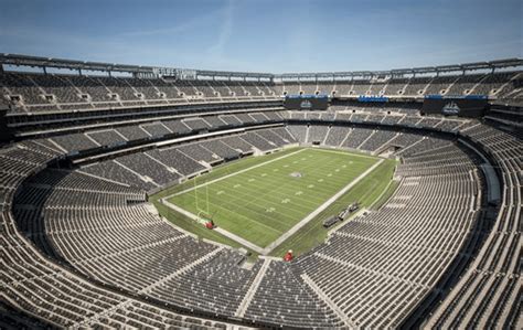 Which NFL Stadiums Have Turf Fields – And Which Use Real Grass?