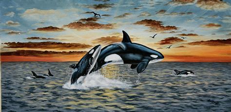 Orca Sunset Painting by Mary Singer | Pixels