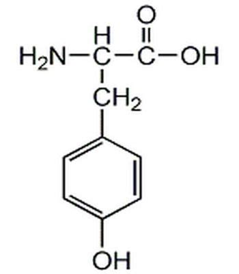 Tyrosine - a non-essential amino acid - Assignment Point