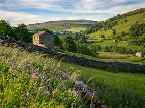 Evening in Thwaitedale | England countryside, Countryside landscape, Scenery