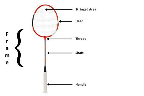 11 Fascinating Badminton Facts (#5 Might Be Useful) – Racket Rampage