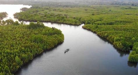 Muara Sungai di Baubau Ini Disebut Mirip Amazon, Yuk Intip Keindahannya - IHGMA