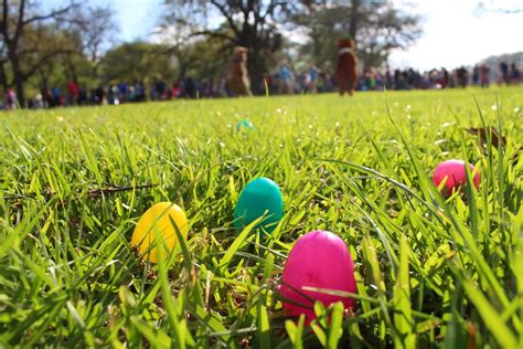 The Yogi Bear™ Easter Egg Hunt | Clay's Resort Jellystone Park™ in ...