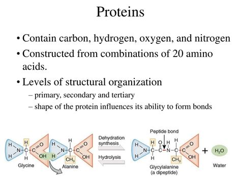 PPT - Types of Organic compounds PowerPoint Presentation - ID:465419