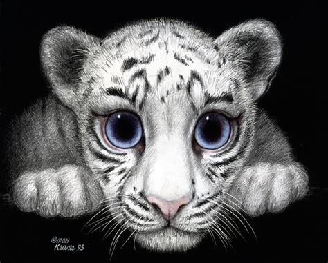 white tiger – Keane Eyes Gallery