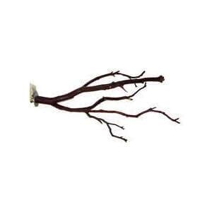 12-14″ Tree Top Manzanita Perch Small – West Coast Tropical