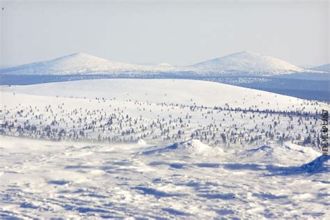 Snow | Film Lapland