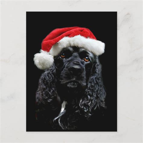 Cocker Spaniel Christmas Holiday Postcard | Zazzle