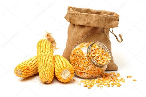 Corn and corn seeds Stock Photo by ©jianghongyan 54537417