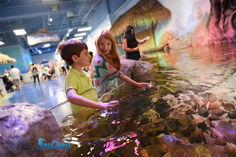 SeaQuest Aquarium Operating Without a License in Littleton, Colorado ...