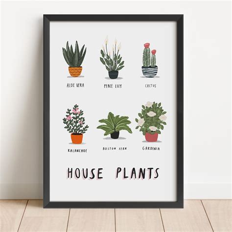 House Plants Illustrated Print Plant Print House Plants - Etsy