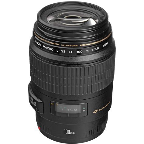 Canon EF 100mm f/2.8 Macro USM Lens - Walmart.com