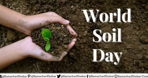 World Soil Day 2023: Theme, History, Importance and Slogans