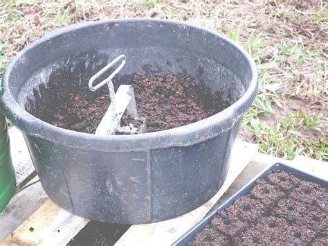 How to Make Your Own Seed Starter Soil - Cosmopolitan Cornbread