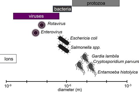 5 Transport of Microbes in Groundwater – Groundwater Microbiology