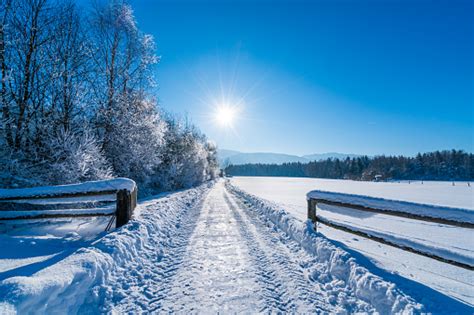 Sunny winter landscape – free photo on Barnimages