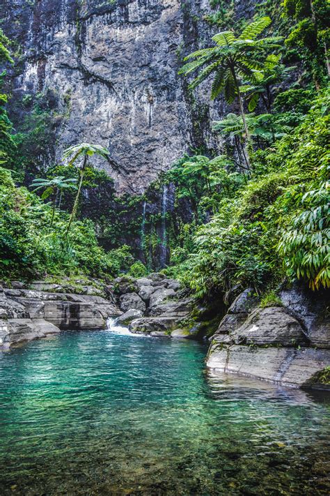 Snorkeling in Fiji | Resorts & Packages | Caradonna Adventures