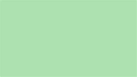 2560x1440 Celadon Solid Color Background