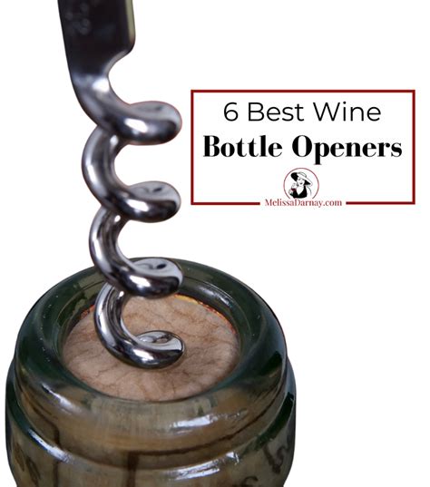 Wine Bottle Opener - Melissa Darnay Wine Basics