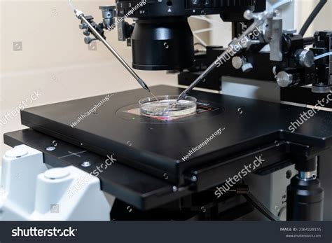 Modern Ivf Micromanipulator Petri Dish Laboratory Stock Photo ...