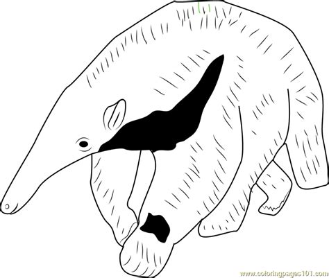 giant pangolin coloring page