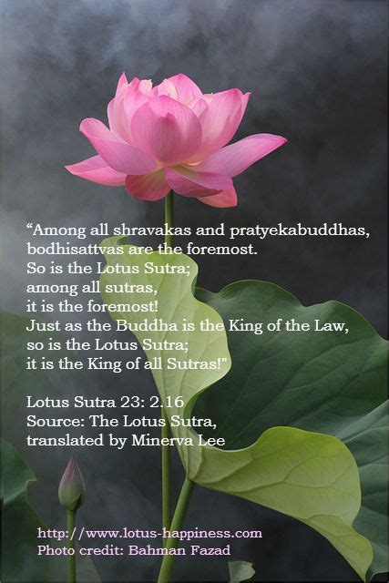 a pink lotus flower sitting on top of a green leaf