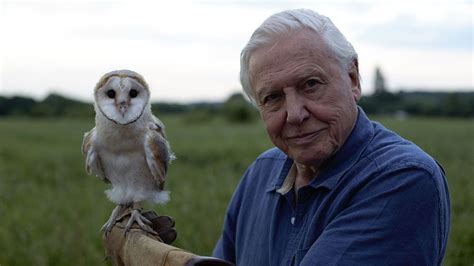 David Attenborough's Conquest Of The Skies : ABC iview