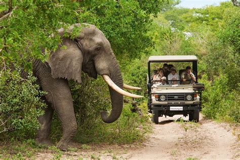 Amatungulu Tours (Pretoria) - All You Need to Know BEFORE You Go