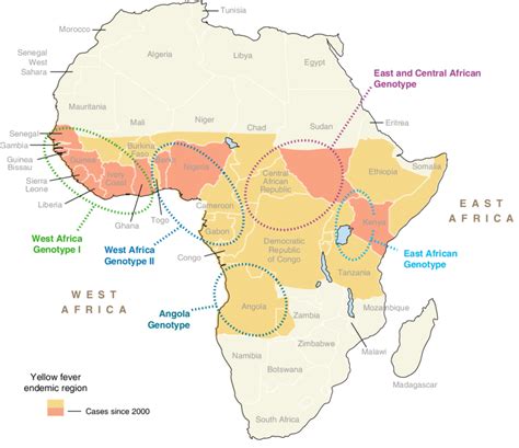 A map of Africa showing the yellow fever (YF) endemic region (orange ...