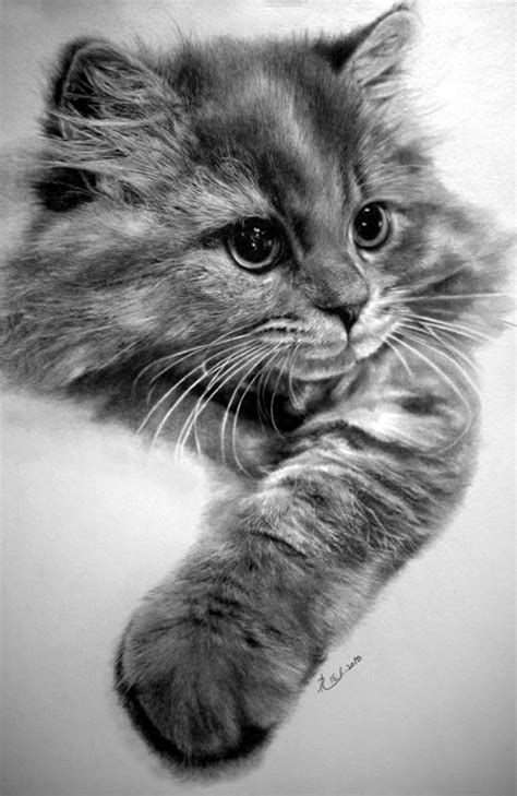 40 Breathtaking Examples Of Photorealism - Bored Art