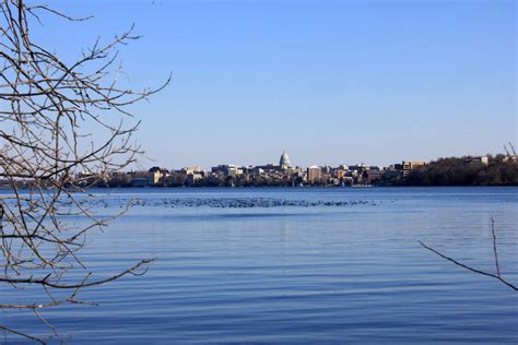 Madison Skyline in Madison, Wisconsin image - Free stock photo - Public ...