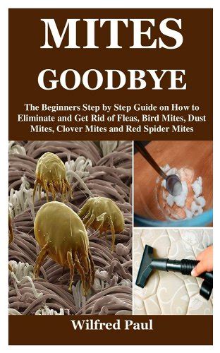 Mites Goodbye: The Beginners Step by Step Guide on How to Eliminate and ...