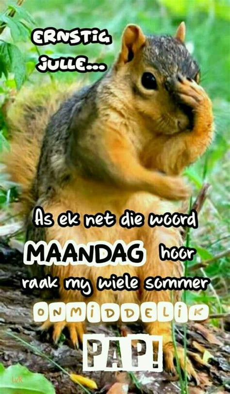 Maandag | Afrikaans quotes, Afrikaanse quotes, Goeie nag